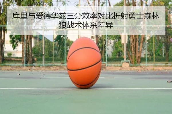 img_1783268071229_1236_0_444.jpg